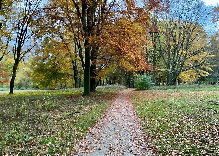 Dachgeschoss-studio Im Kurgebiet Kurpark & Therme Fusslaeufig Messe 6 Km Daire